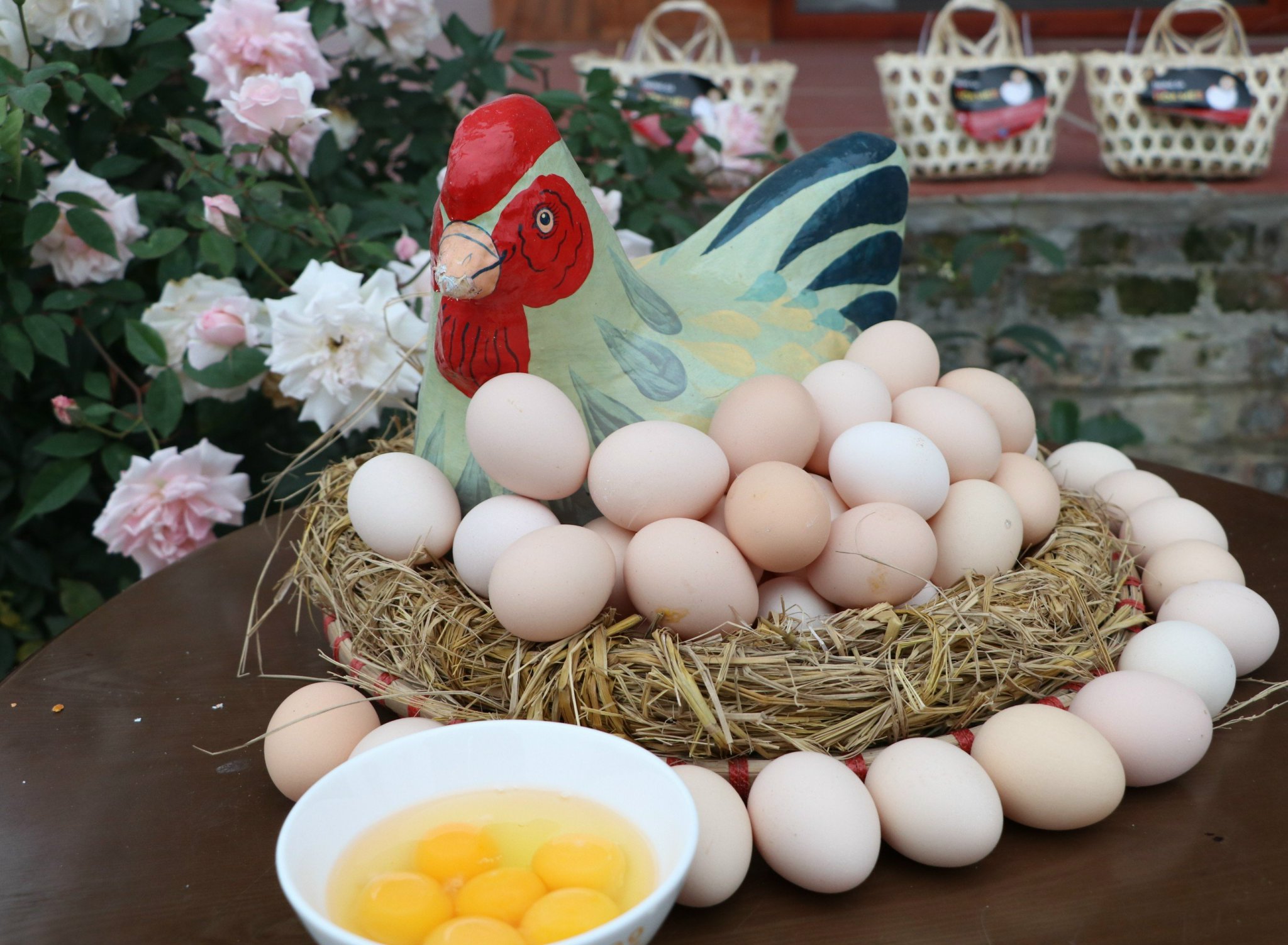 Chuyện lạ về gà trống đẻ trứng vàng