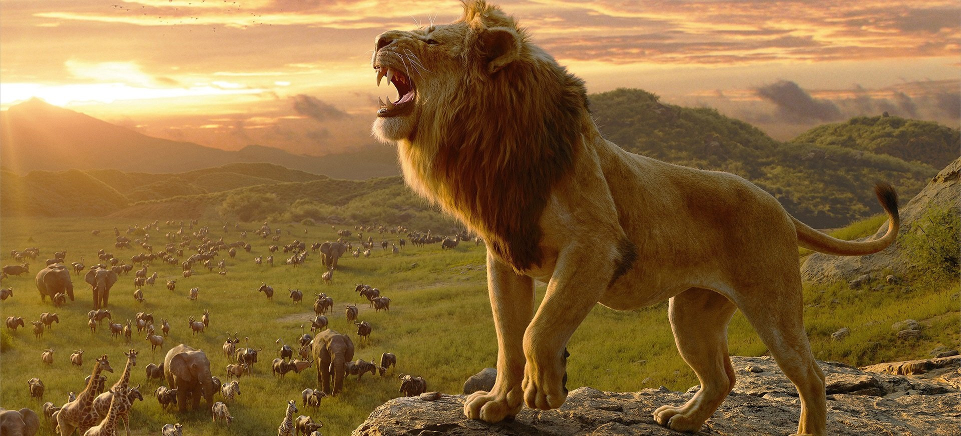 Nằm mơ thấy sư tử điềm báo gì, lành hay dữ?
